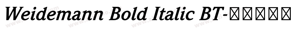Weidemann Bold Italic BT字体转换
